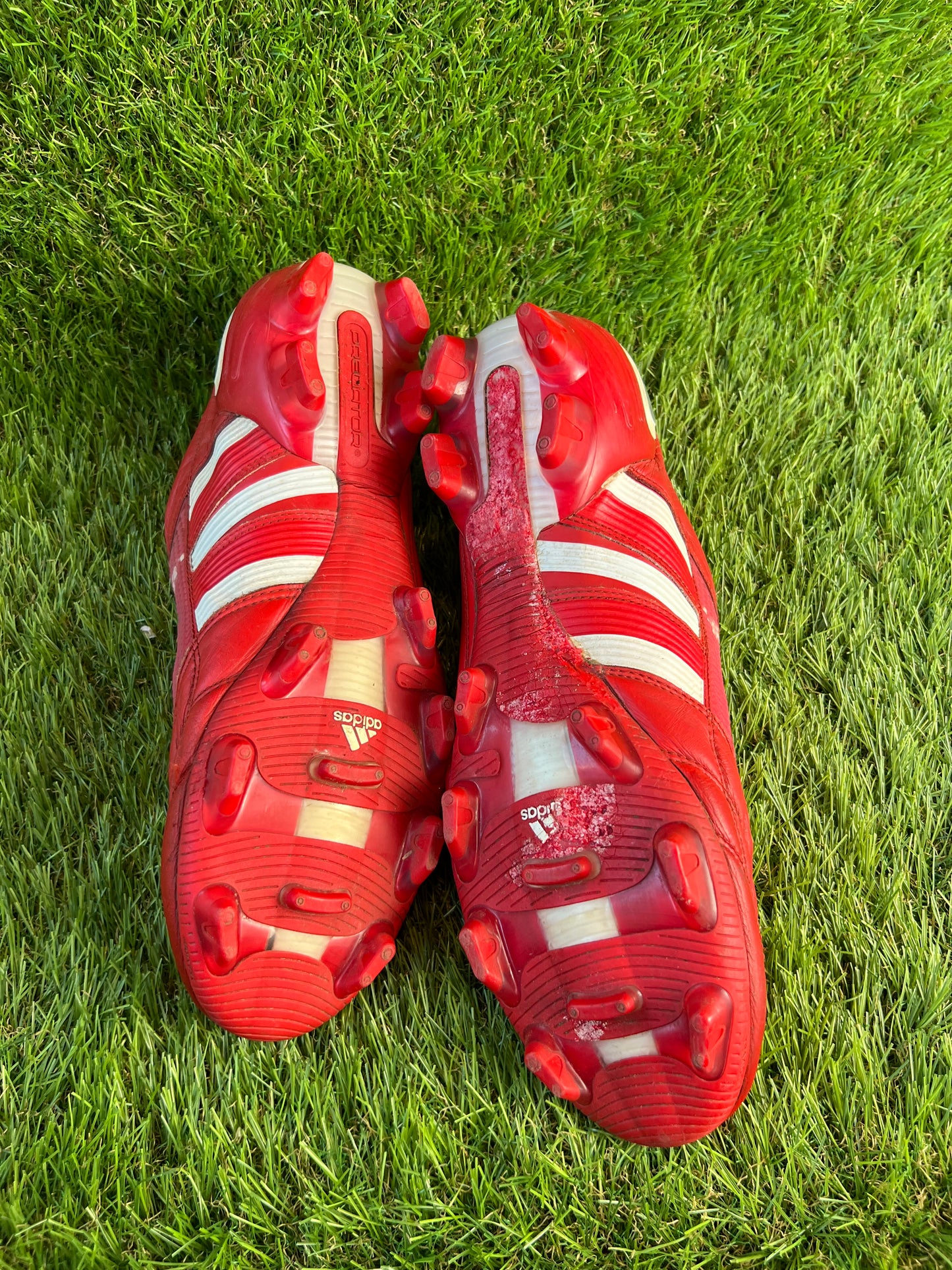 Adidas Predator X Elite DB Limited Edition FG - 12 UK