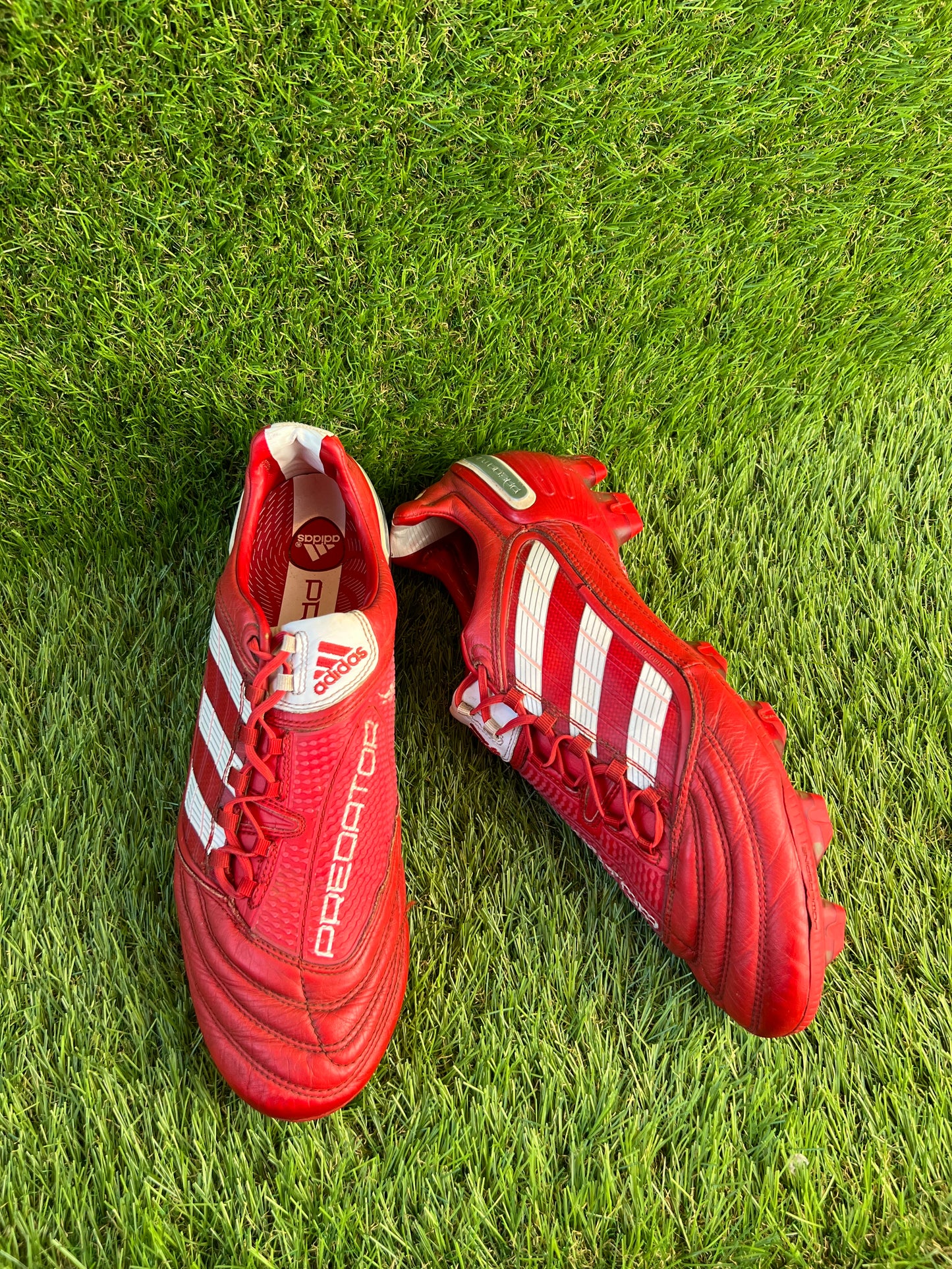 Adidas Predator X Elite DB Limited Edition FG - 12 UK