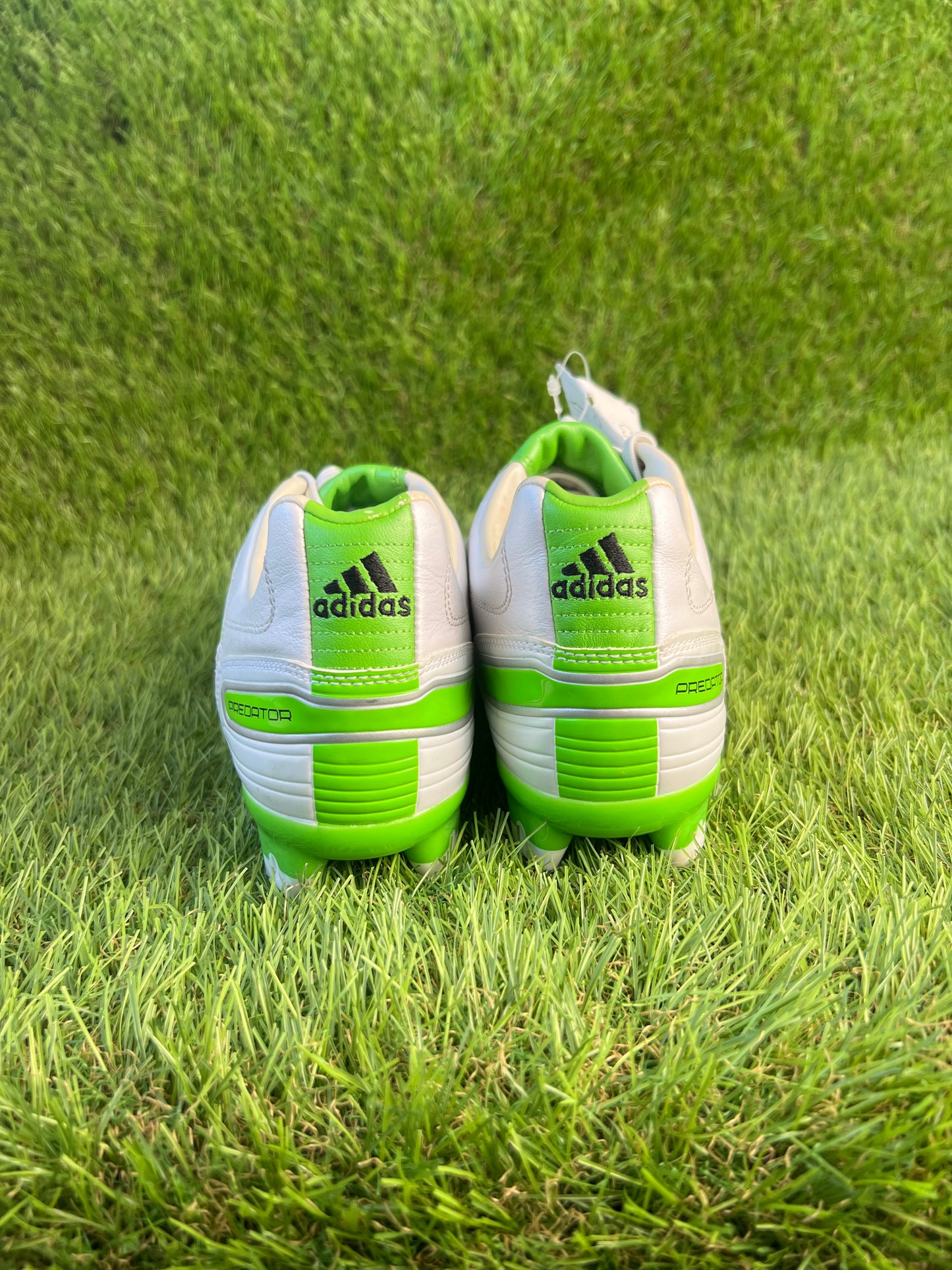 Adidas Predator X Absolion FG - 11 UK