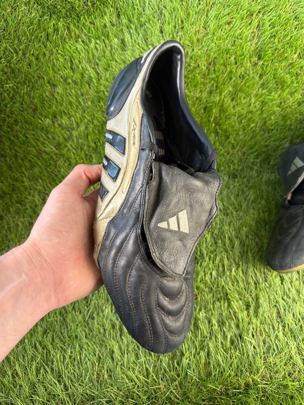 Adidas Predator Aveiro FG - 11 UK