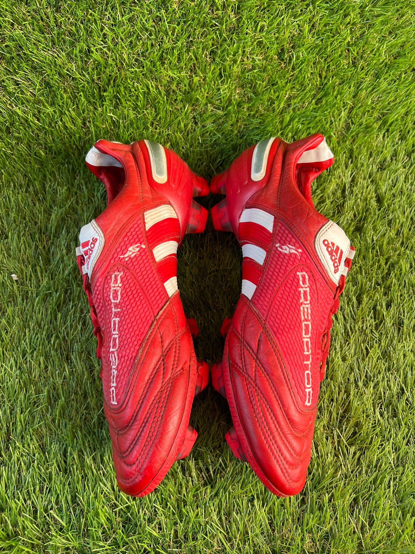 Adidas Predator X Elite DB Limited Edition FG - 12 UK